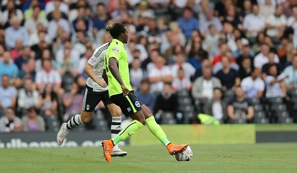 Gaetan Bong in Action: Fulham vs. Brighton and Hove Albion, Sky Bet Championship 2015 - Brighton Defender Faces Off Against Fulham