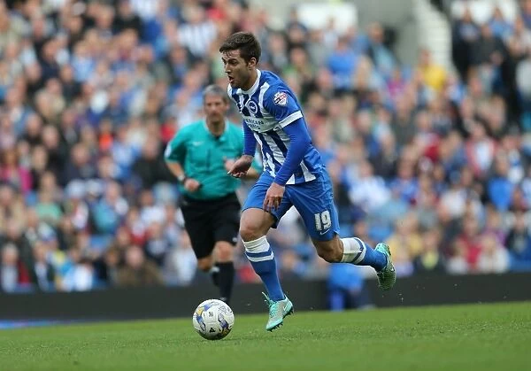 Gary Gardner in Action: Brighton and Hove Albion vs. Middlesbrough, October 18, 2014