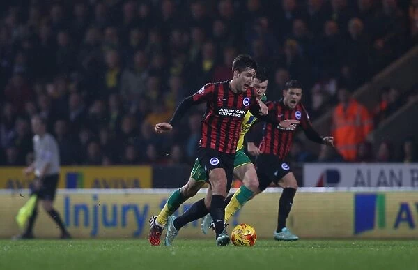 Gary Gardner in Action: Norwich City vs. Brighton & Hove Albion, 2014