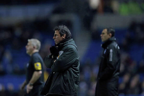 Gianfranco Zola and Gus Poyet Face-Off: Brighton & Hove Albion vs. Watford, December 29, 2012