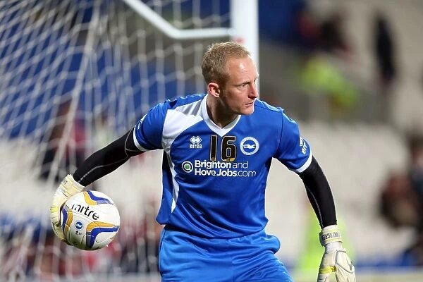 A Glance Back at the 2012-13 Away Game: Brighton & Hove Albion vs. Cardiff City (19-02-2013)