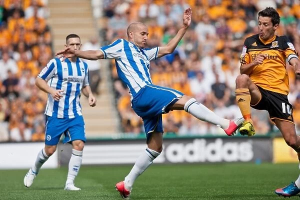 A Glimpse into the Past: Brighton & Hove Albion vs. Hull City (August 18, 2012) - 2012-13 Season Away Game