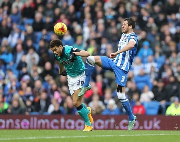 Gordon Greer in Action: Brighton and Hove Albion vs. Wigan Athletic, Sky Bet Championship, 8 November 2014