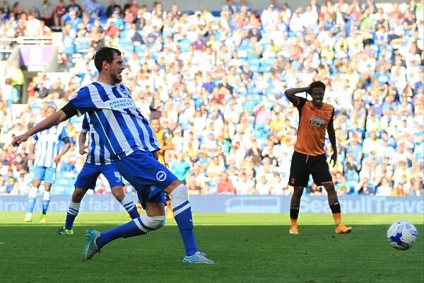 Gordon Greer in Action: Brighton and Hove Albion vs. Hull City, Sky Bet Championship 2015