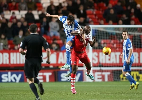 Gordon Greer in Action: Charlton Athletic vs. Brighton & Hove Albion, The Valley, 10 January 2015