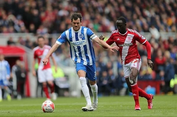 Gordon Greer in Action: Middlesbrough vs. Brighton & Hove Albion, May 2015 (Sky Bet Championship)