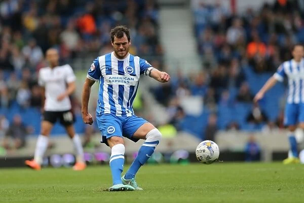 Gordon Greer of Brighton & Hove Albion in Action at American Express Community Stadium during SkyBet Championship Match vs. Rotherham United (October 25, 2014)