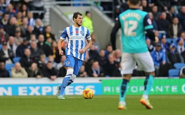 Gordon Greer: Intense Concentration during Brighton and Hove Albion's Championship Clash vs. Wigan Athletic (8 November 2014)