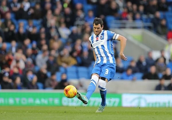 Gordon Greer: Intense Concentration during Brighton and Hove Albion's Championship Clash vs. Wigan Athletic (8 November 2014)