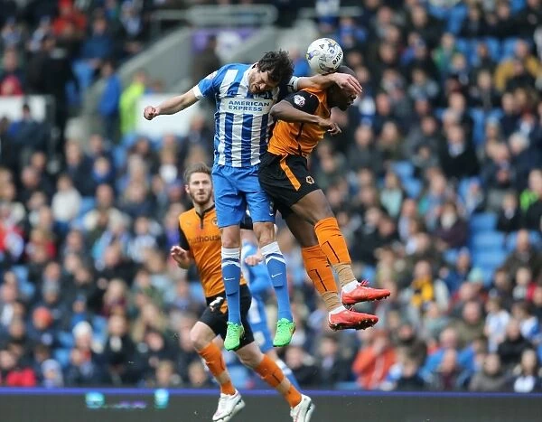 Gordon Greer Leads Brighton and Hove Albion in Championship Clash against Wolverhampton Wanderers (14MAR15)