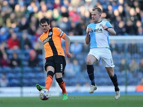 Gordon Greer Leads Brighton and Hove Albion in Championship Clash against Blackburn Rovers (21MAR15)