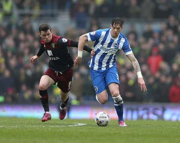 Greg Halford in Action: Brighton and Hove Albion vs. Norwich City, Sky Bet Championship, 3rd April 2015