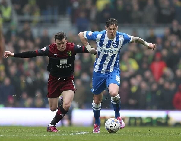 Greg Halford in Action: Brighton and Hove Albion vs. Norwich City, Sky Bet Championship, April 2015