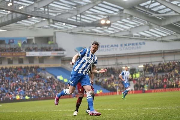Greg Halford in Action: Brighton and Hove Albion vs. Norwich City, Sky Bet Championship, April 2015