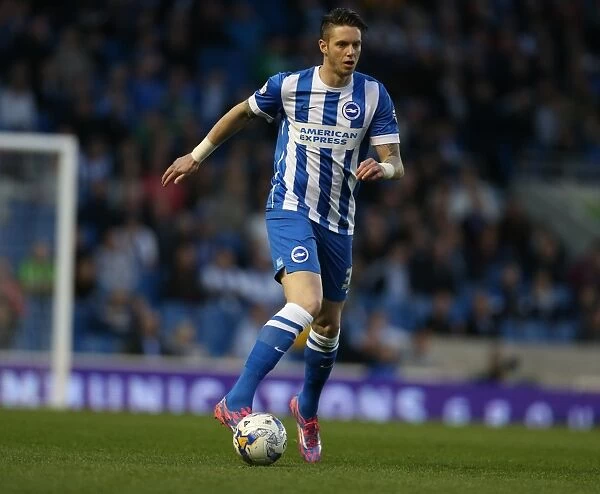 Greg Halford: In Action for Brighton and Hove Albion vs. Huddersfield Town AFC, Sky Bet Championship, 14 April 2015