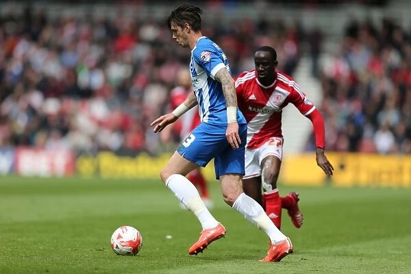 Greg Halford in Action: Middlesbrough vs. Brighton & Hove Albion, Sky Bet Championship, May 2015