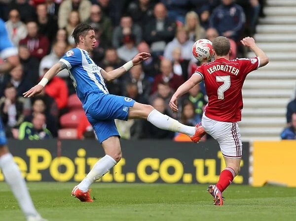 Greg Halford in Action: Middlesbrough vs. Brighton & Hove Albion, Sky Bet Championship, Riverside Stadium, May 2015
