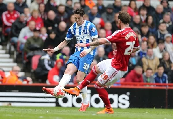 Greg Halford in Action: Middlesbrough vs. Brighton & Hove Albion, Sky Bet Championship, May 2015