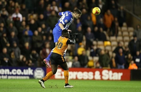 Greg Halford in Action: Wolverhampton Wanderers vs. Brighton and Hove Albion, Sky Bet Championship, Molineux, 2014
