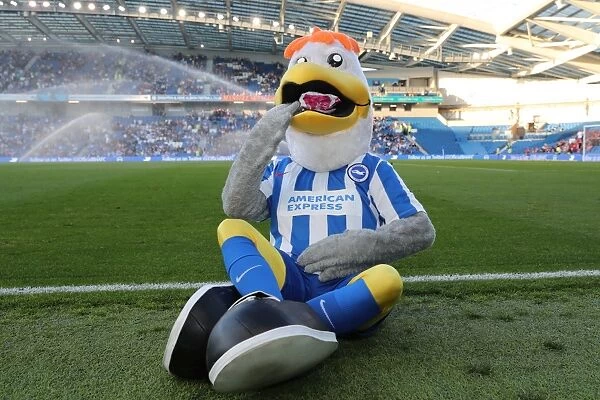 Gully of Brighton and Hove Albion Enjoying a Sandwich Break During Their EFL Sky Bet Championship Match Against Nottingham Forest (12th August 2016)
