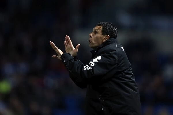 Gus Poyet Gives Instructions during Brighton & Hove Albion vs Millwall, December 18, 2012