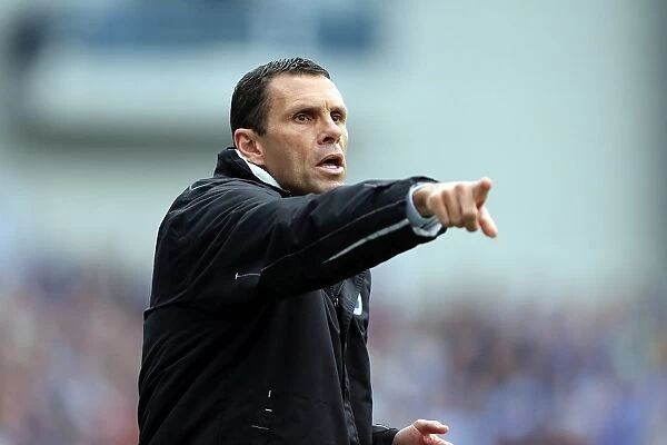 Gus Poyet Leading Brighton & Hove Albion to Victory against Wolverhampton Wanderers, May 2013