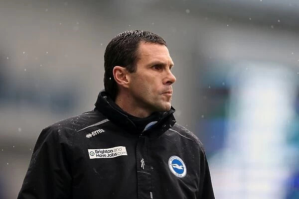 Gus Poyet Leads Brighton & Hove Albion Against Crystal Palace in Intense NPower Championship Clash, March 2013