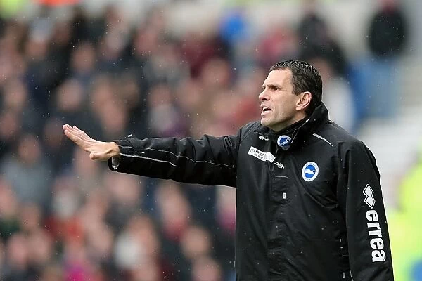 Gus Poyet Leads Brighton & Hove Albion Against Crystal Palace in Intense NPower Championship Clash, March 2013
