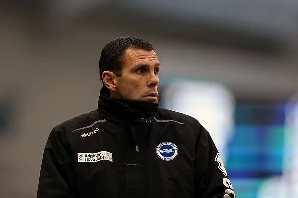 Gus Poyet Leads Brighton & Hove Albion in Npower Championship Clash Against Burnley at Amex Stadium (February 23, 2013)