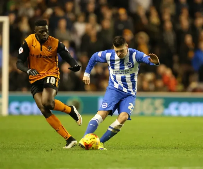 Framed Print : Holla at the Molineux Showdown: Wolverhampton Wanderers vs. Brighton and Hove Albion (20DEC14) Framed Print : Holla at the Molineux Showdown: Wolverhampton Wanderers vs. Brighton and Hove Albion (20DEC14)