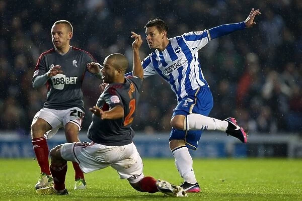 Will Hoskins Fires Up Brighton & Hove Albion Against Bolton Wanderers in Npower Championship Clash at Amex Stadium (November 24, 2012)
