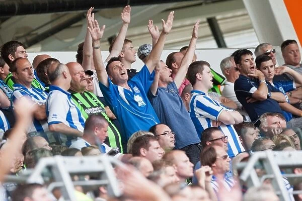 Hull City vs. Brighton & Hove Albion: 2012-13 Season Away Game
