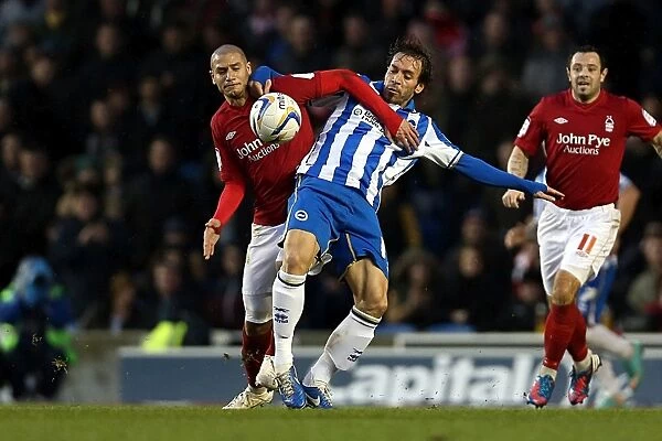 Inigo Calderon in Action: Brighton & Hove Albion vs Nottingham Forest, December 15, 2012, Amex Stadium
