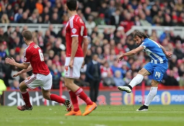 Inigo Calderon in Action: Middlesbrough vs. Brighton & Hove Albion, May 2015 (Sky Bet Championship)