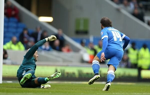 Inigo Calderon Scores His Second Goal for Brighton Against Birmingham City (February 2015)