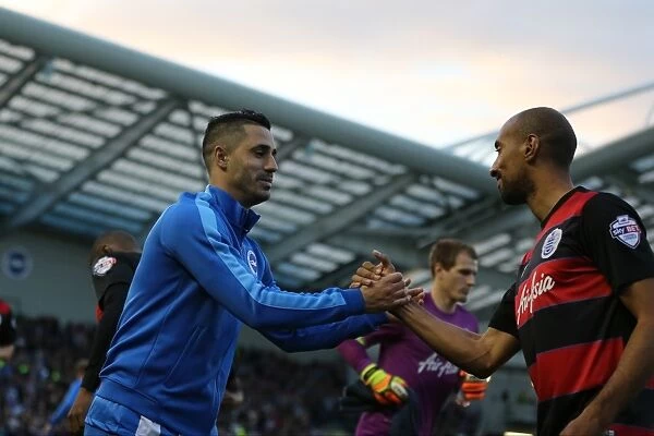 Intense Championship Showdown: Brighton and Hove Albion vs. QPR (19APR16)