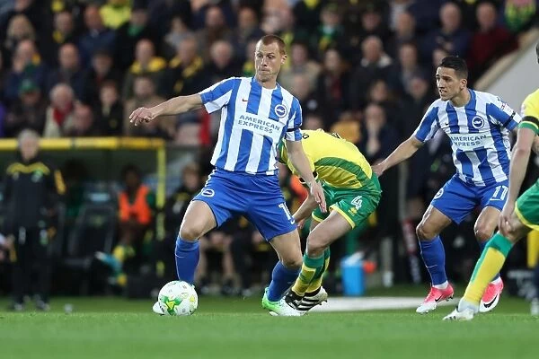 Intense Championship Showdown: Norwich City vs. Brighton and Hove Albion (21APR17)