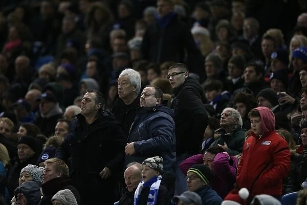 Intense Fan Rivalry: Brighton and Hove Albion vs. Reading (December 2014) - Sky Bet Championship Clash at the American Express Community Stadium