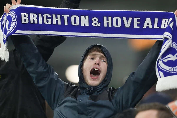 Intense Premier League Showdown: Brighton & Hove Albion vs. Crystal Palace (04DEC18)