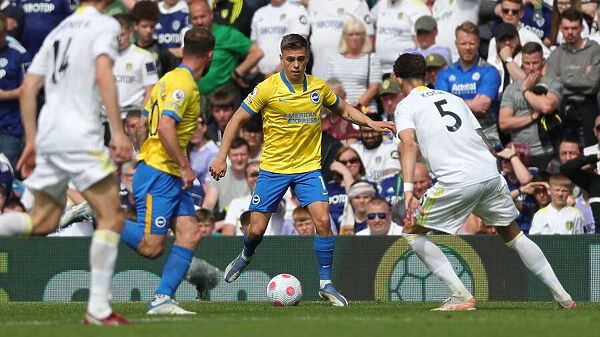 Intense Premier League Showdown: Leeds United vs. Brighton & Hove Albion (15May22)