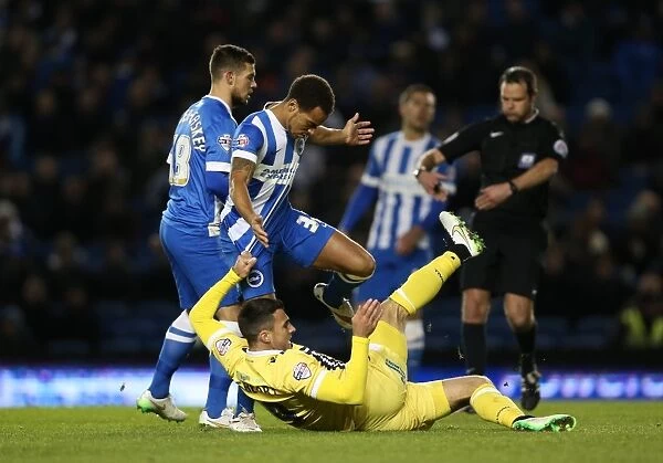 Jake Forster-Caskey in Action: Brighton & Hove Albion vs. Millwall (12DEC14)