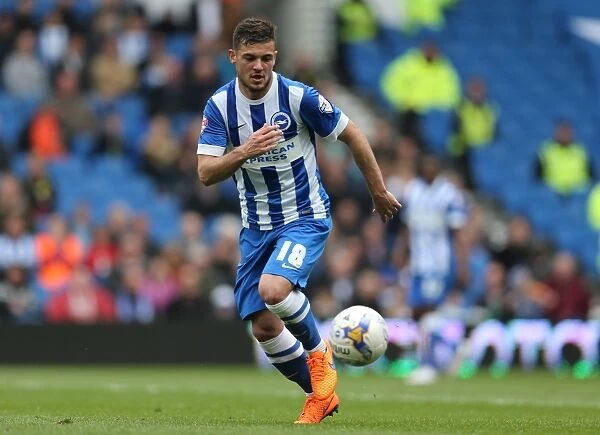 Jake Forster-Caskey in Action: Brighton & Hove Albion vs. Watford (25APR15)