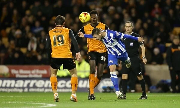 Jake Forster-Caskey in Action: Brighton and Hove Albion vs. Wolverhampton Wanderers (December 2014)