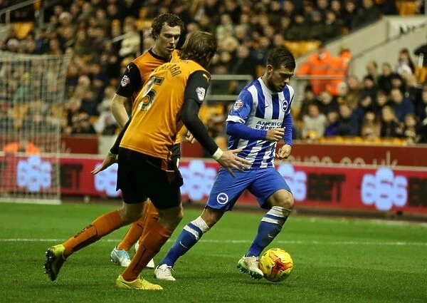 Jake Forster-Caskey in Action: Brighton and Hove Albion vs. Wolverhampton Wanderers (December 2014)