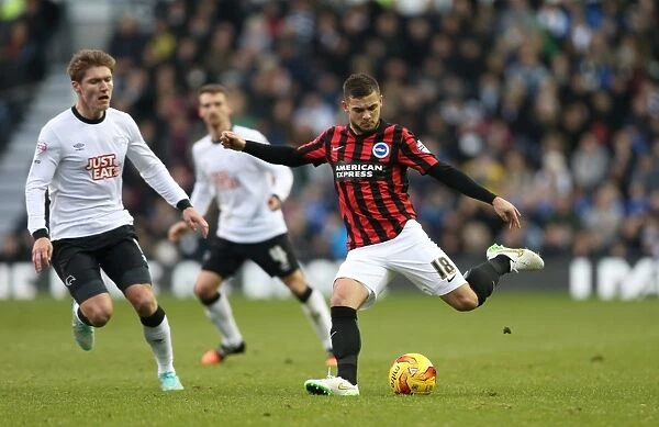 Jake Forster-Caskey in Action: Derby County vs. Brighton & Hove Albion, Sky Bet Championship, iPro Stadium, December 2014