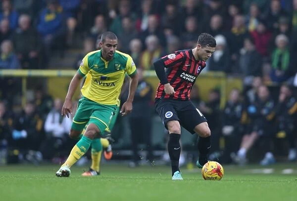 Jake Forster-Caskey in Action: Norwich City vs. Brighton & Hove Albion, 2014