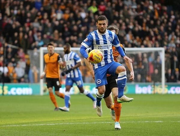 Jake Forster-Caskey of Brighton and Hove Albion in Action Against Wolverhampton Wanderers, Sky Bet Championship, Molineux, December 2014