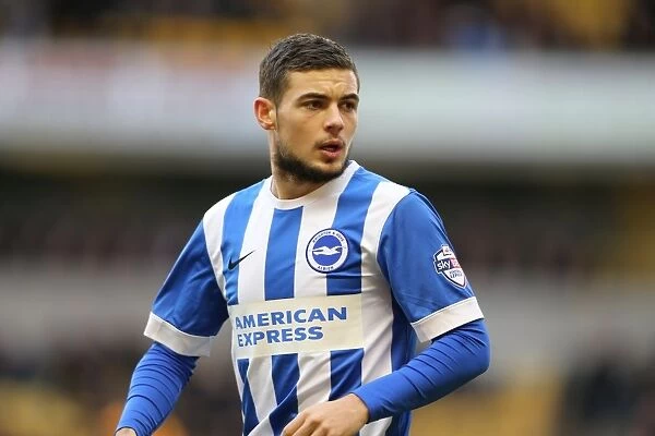 Jake Forster-Caskey of Brighton and Hove Albion Faces Off Against Wolverhampton Wanderers in Sky Bet Championship Match, December 2014