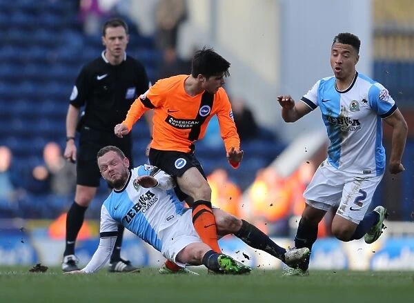 Joao Carlos Teixeira in Action for Brighton against Blackburn Rovers, Sky Bet Championship 2015