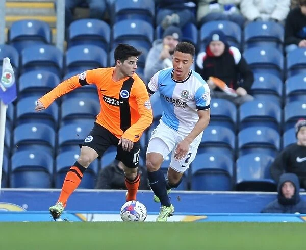 Joao Carlos Teixeira in Action: Brighton Midfielder Battles it Out against Blackburn Rovers, Sky Bet Championship 2015 (21MAR15)